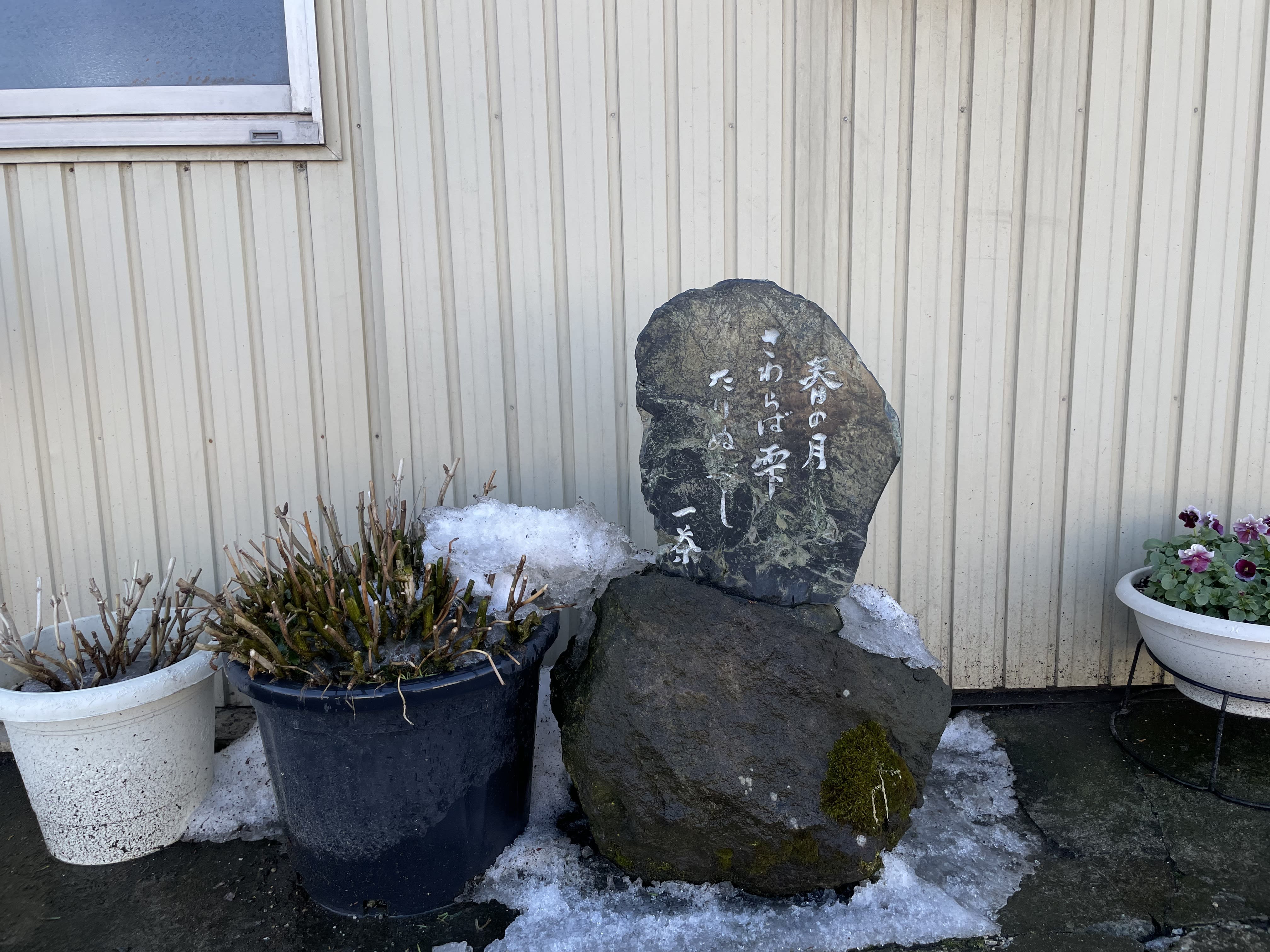 漫步在信濃町街廓,隨處可見的「一茶句碑」。(圖/陳德齡攝影)