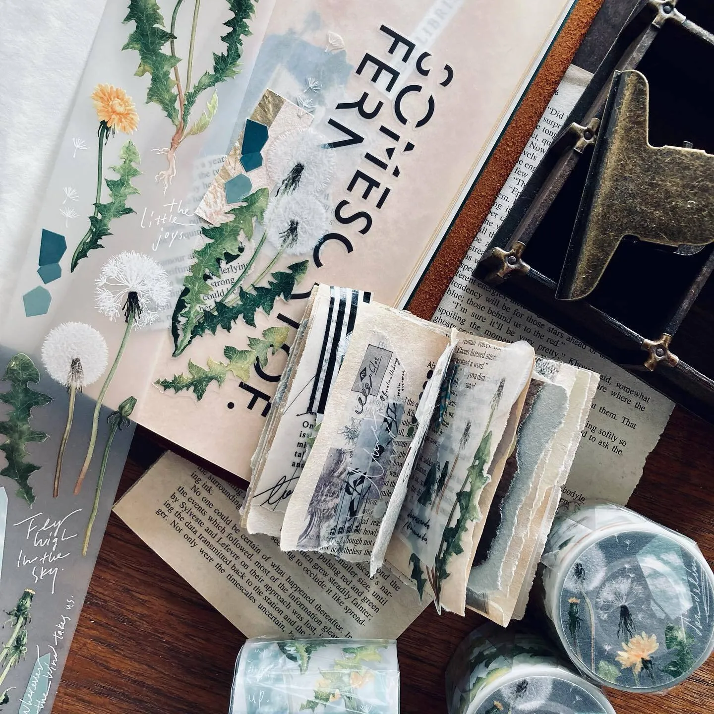 Dandelion Washi Tape - moonandpages.com