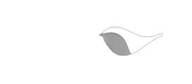 Intu