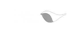 Intu