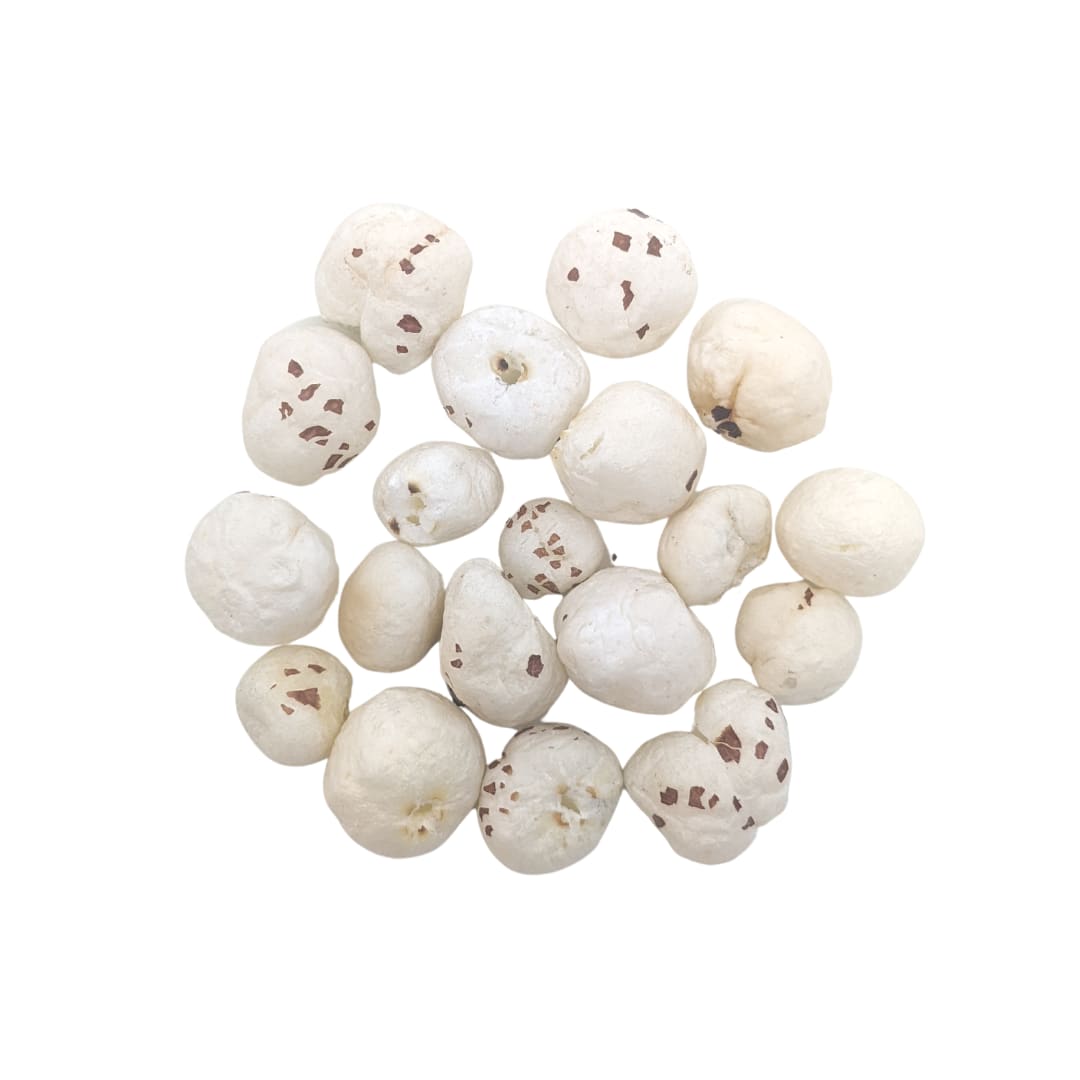 Tal Makhana Regular Tal makhana Regular - Image 1