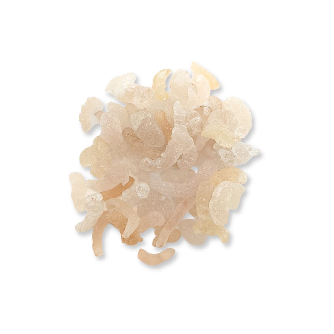 65 Long Goond - Image 1