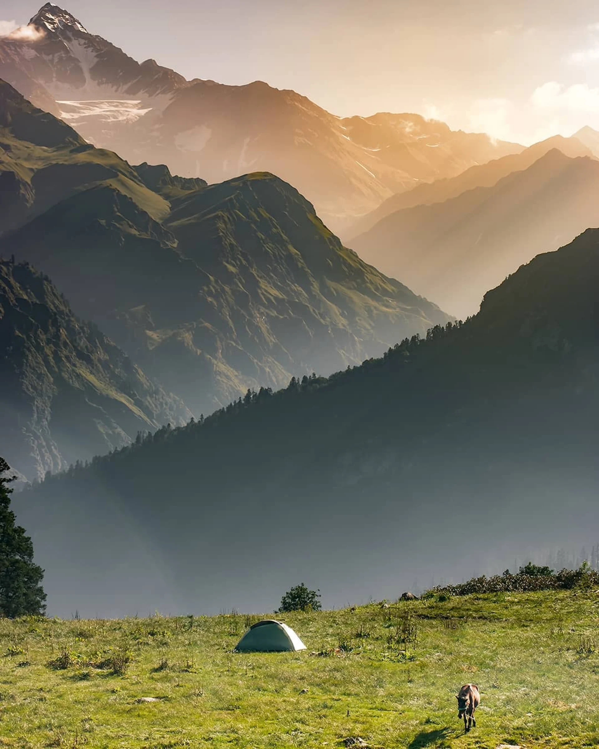 Best Winter Treks in Uttarakhand