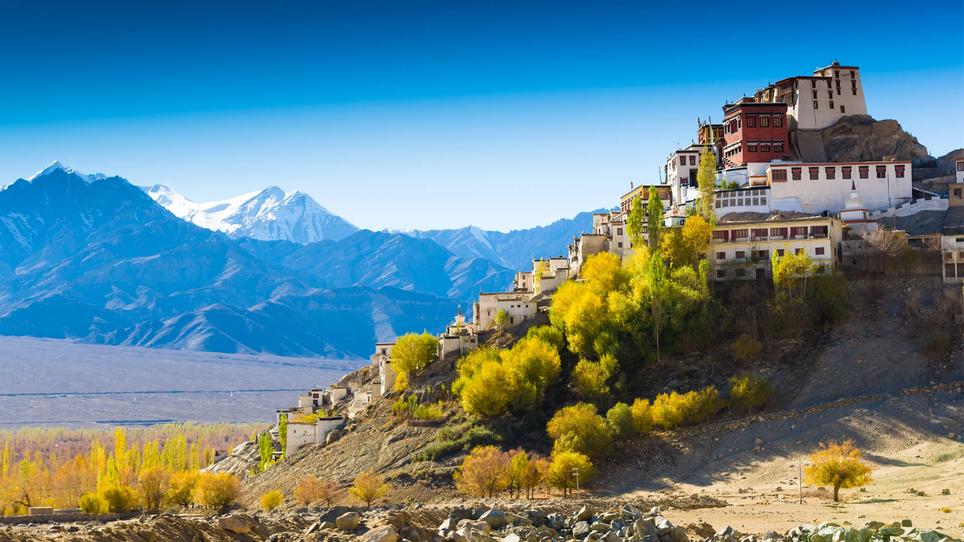 How to Travel to Ladakh on a Budget: Tips and Tricks