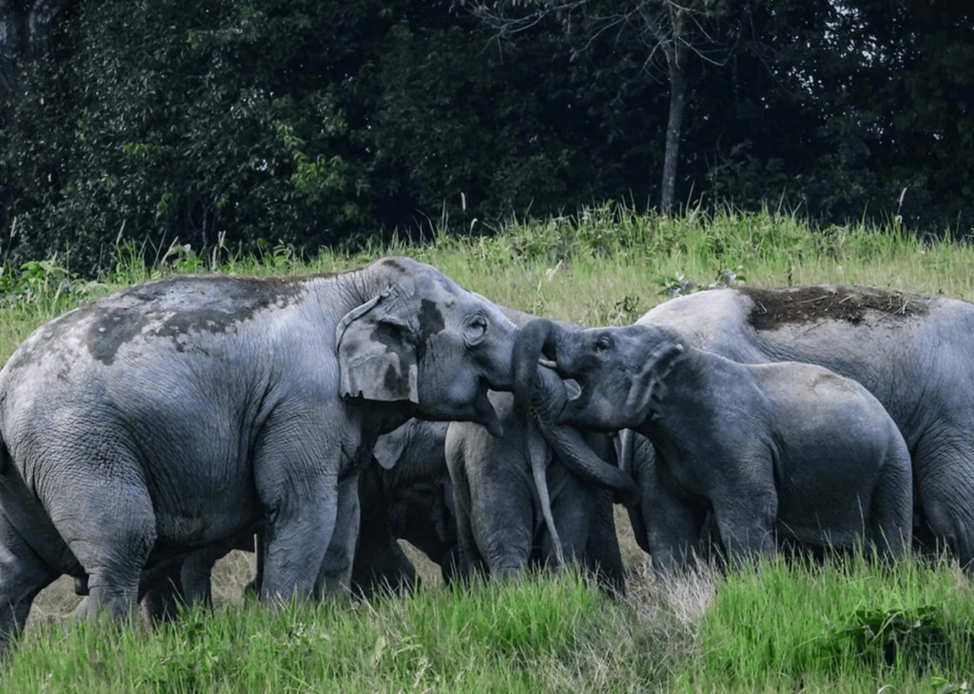 Best Places to Visit in the Northeast India