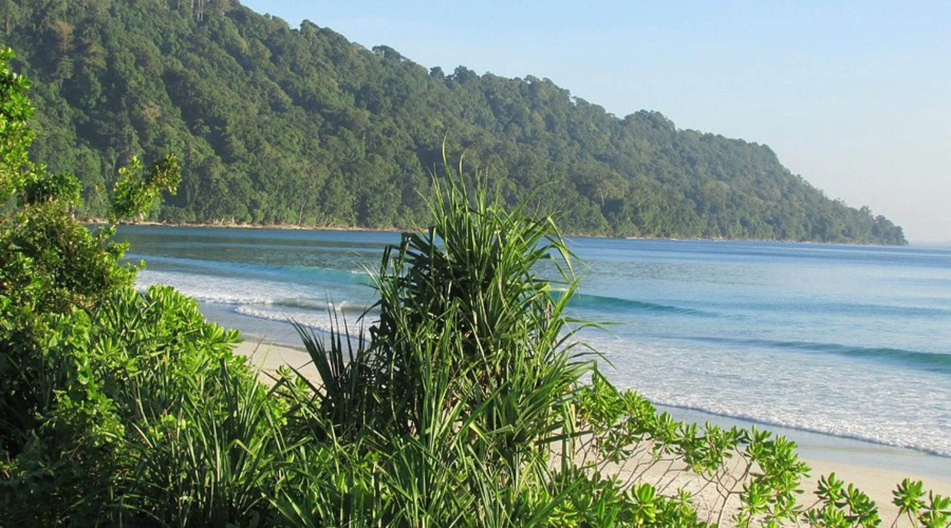 Popular Beaches in India That You Must Visit in 2025