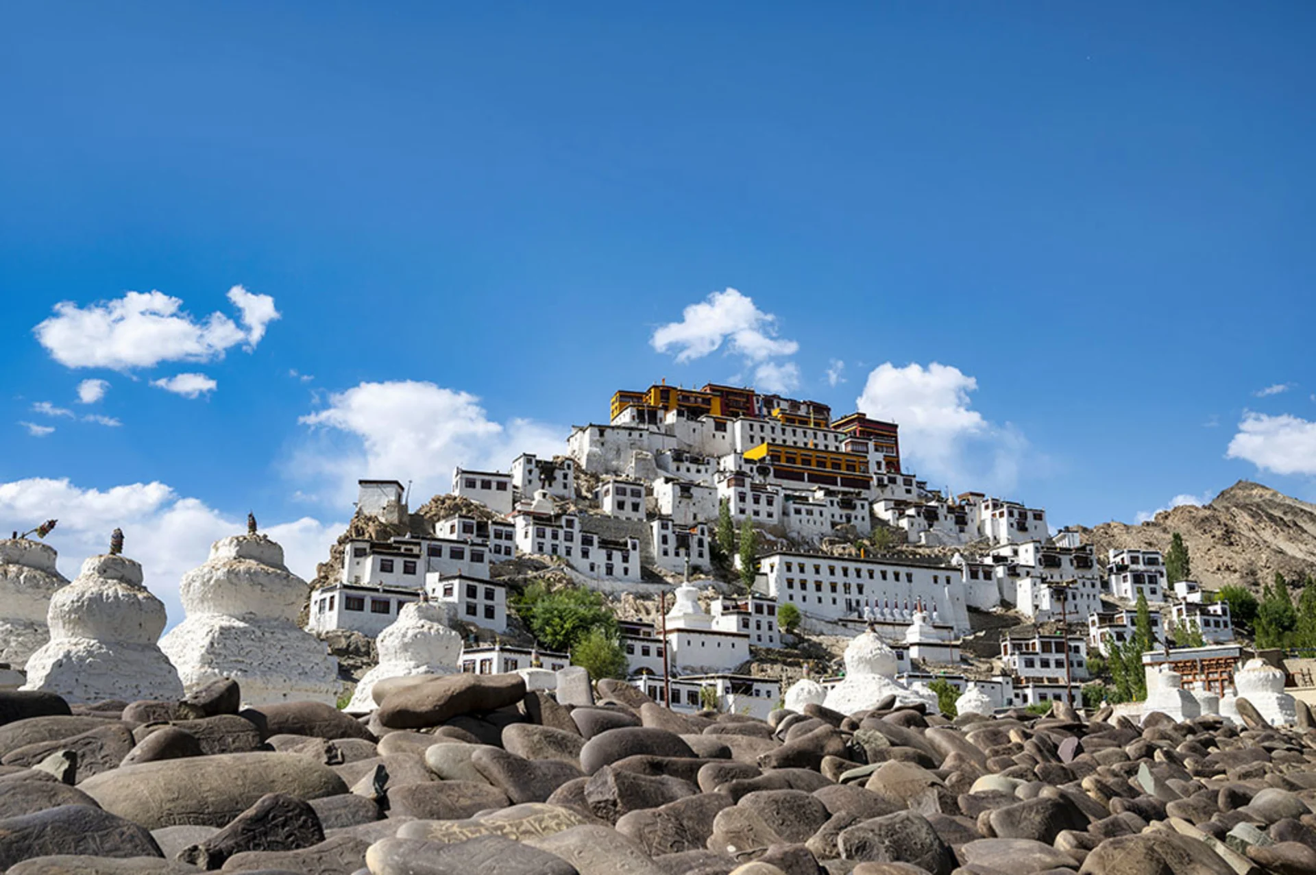 7 Must Visit  Monasteries In Ladakh