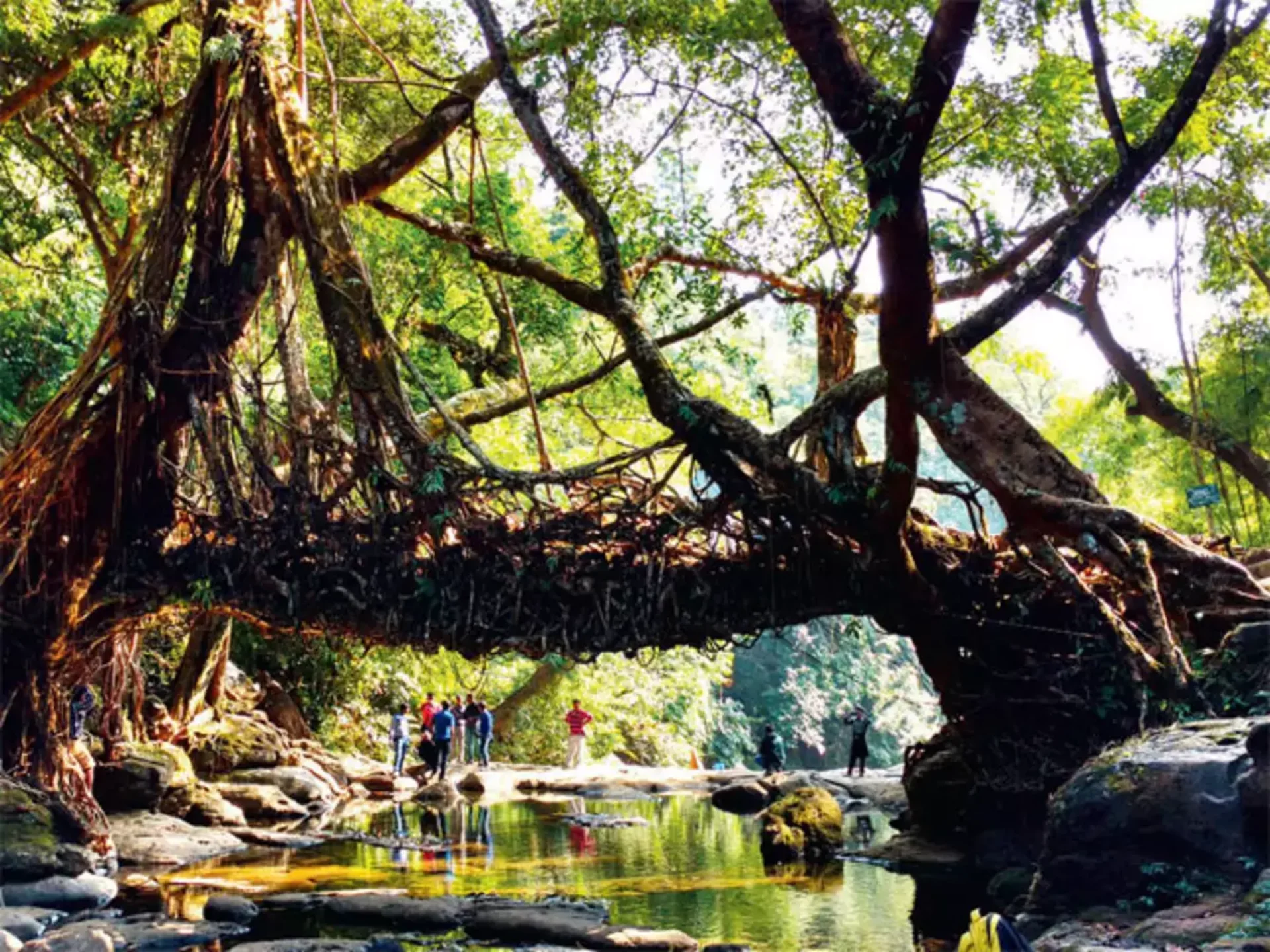 Mawlynnong – Asia’s Cleanest Village