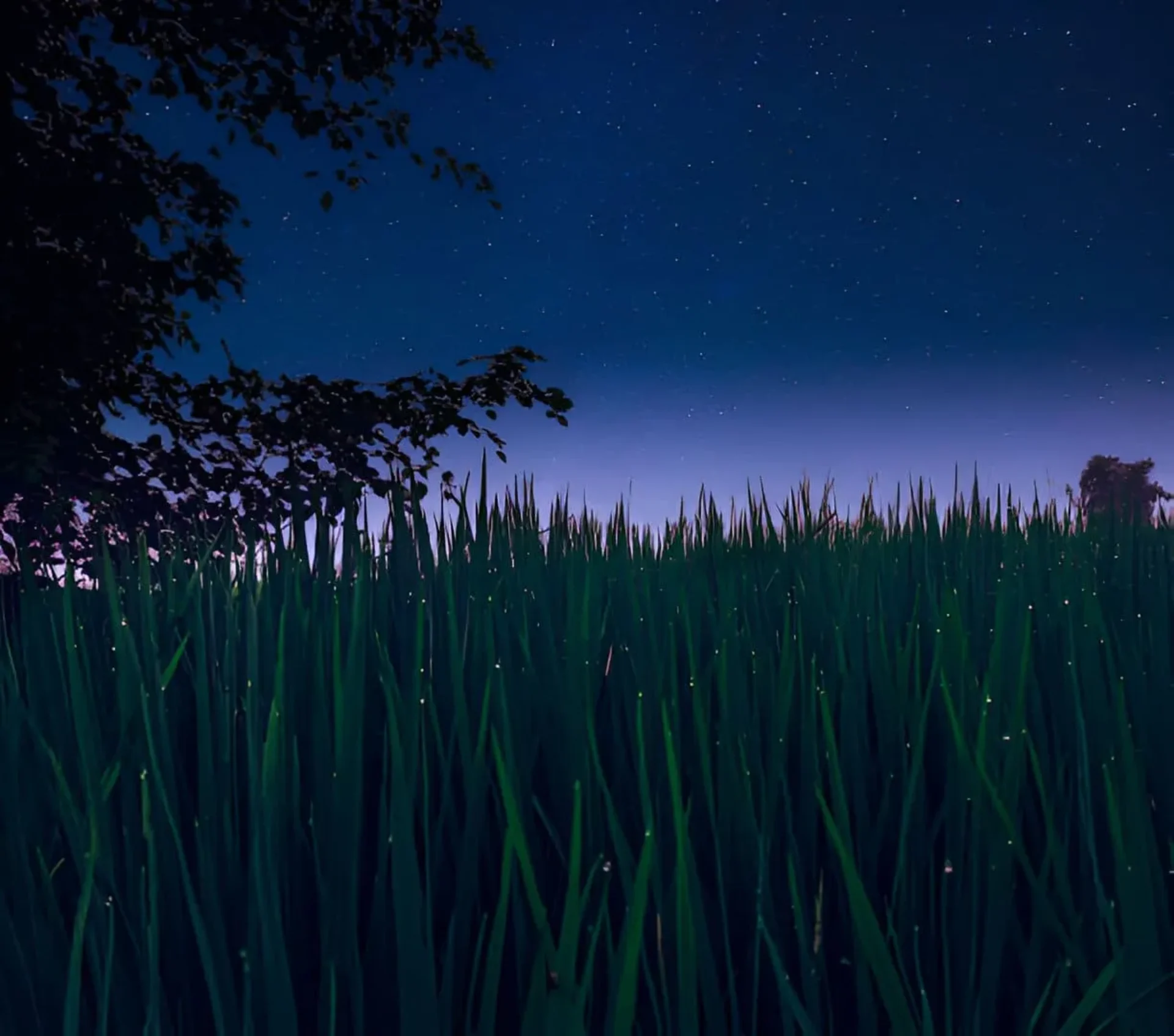 The Best Stargazing Spots in India