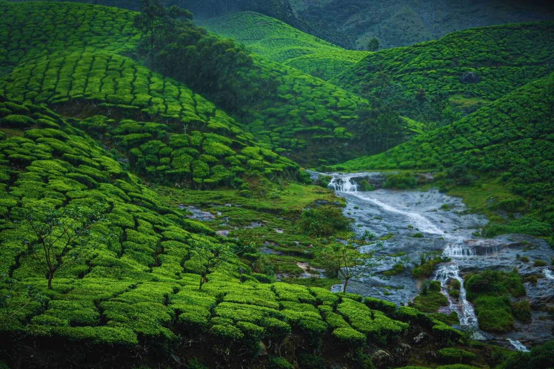 India’s Most Breathtaking Rainy Season Destinations