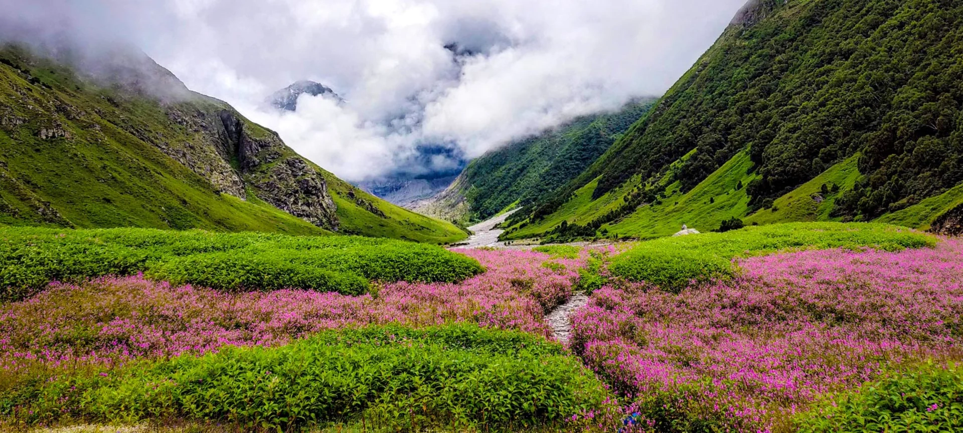 India’s Most Breathtaking Rainy Season Destinations