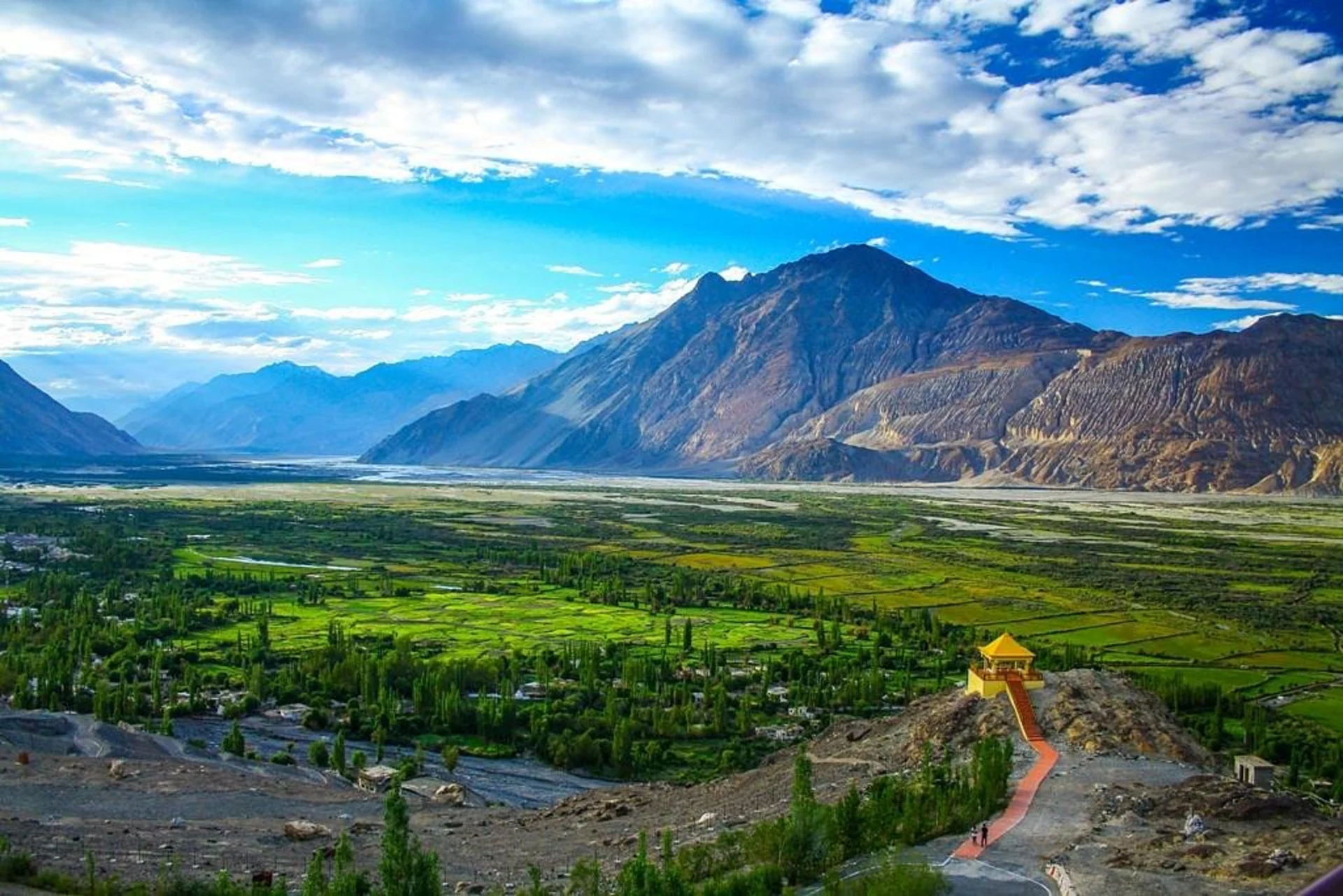 Nubra Valley: Sand Dunes, Double-Humped Camels, and More