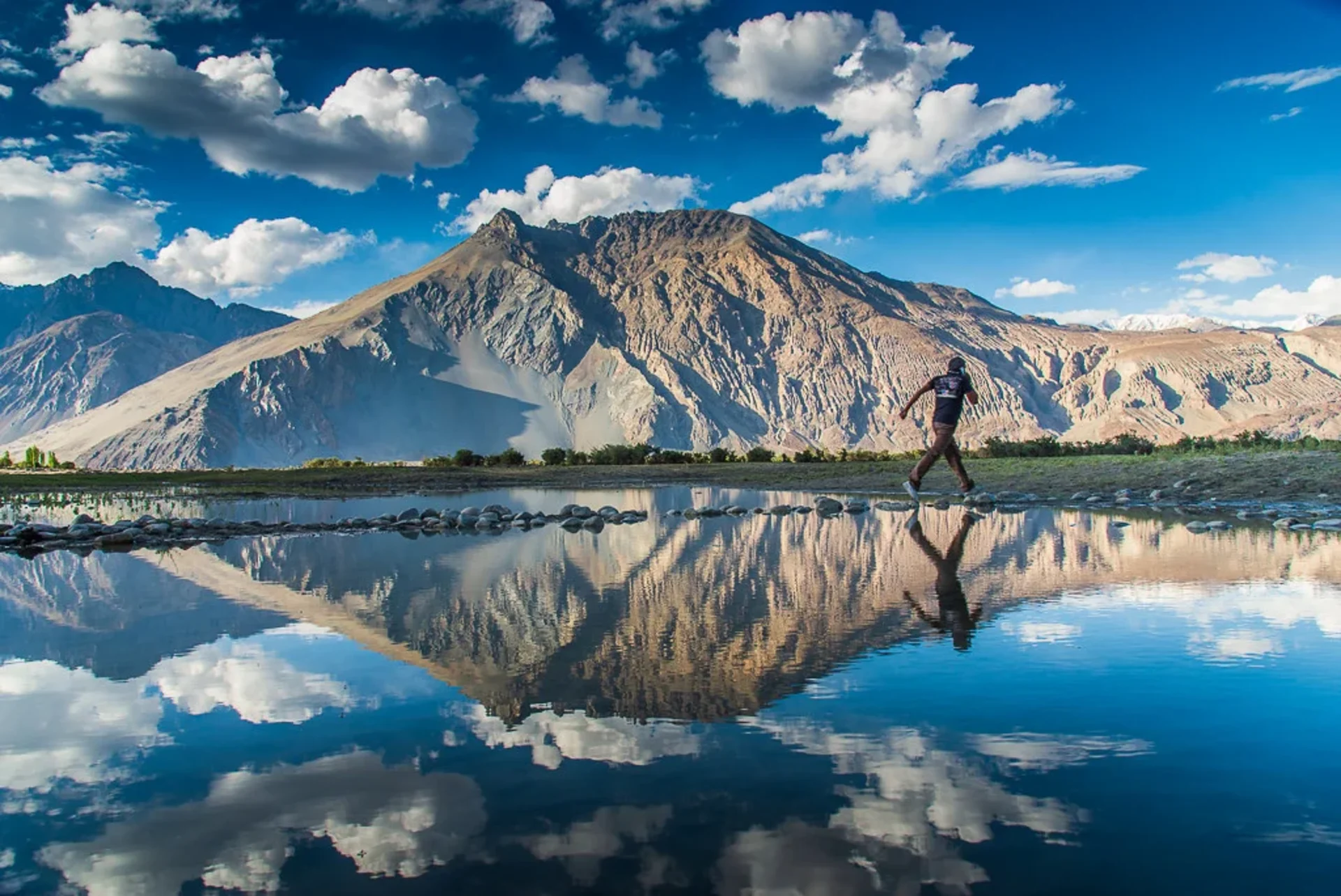 Nubra Valley: Sand Dunes, Double-Humped Camels, and More