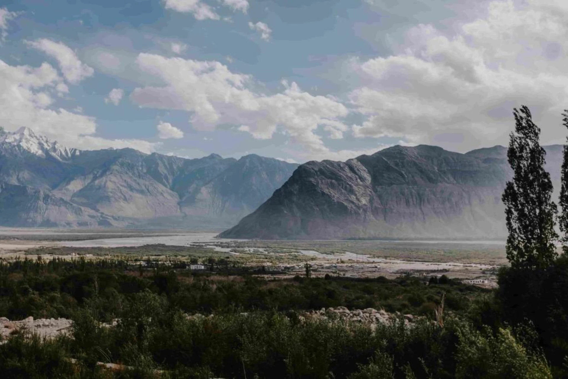 Nubra Valley: Sand Dunes, Double-Humped Camels, and More