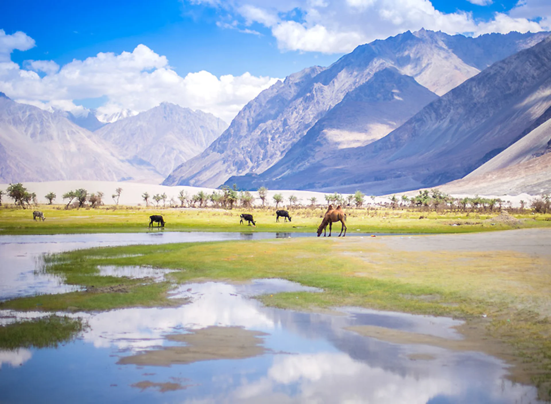 10 Offbeat Places In Ladakh That Will Leave You Spellbound