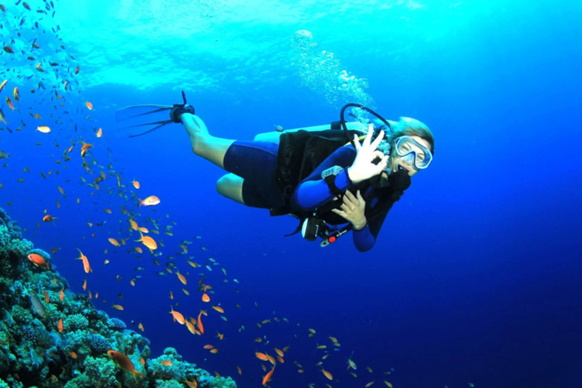 The Best Underwater Experiences You Can Have