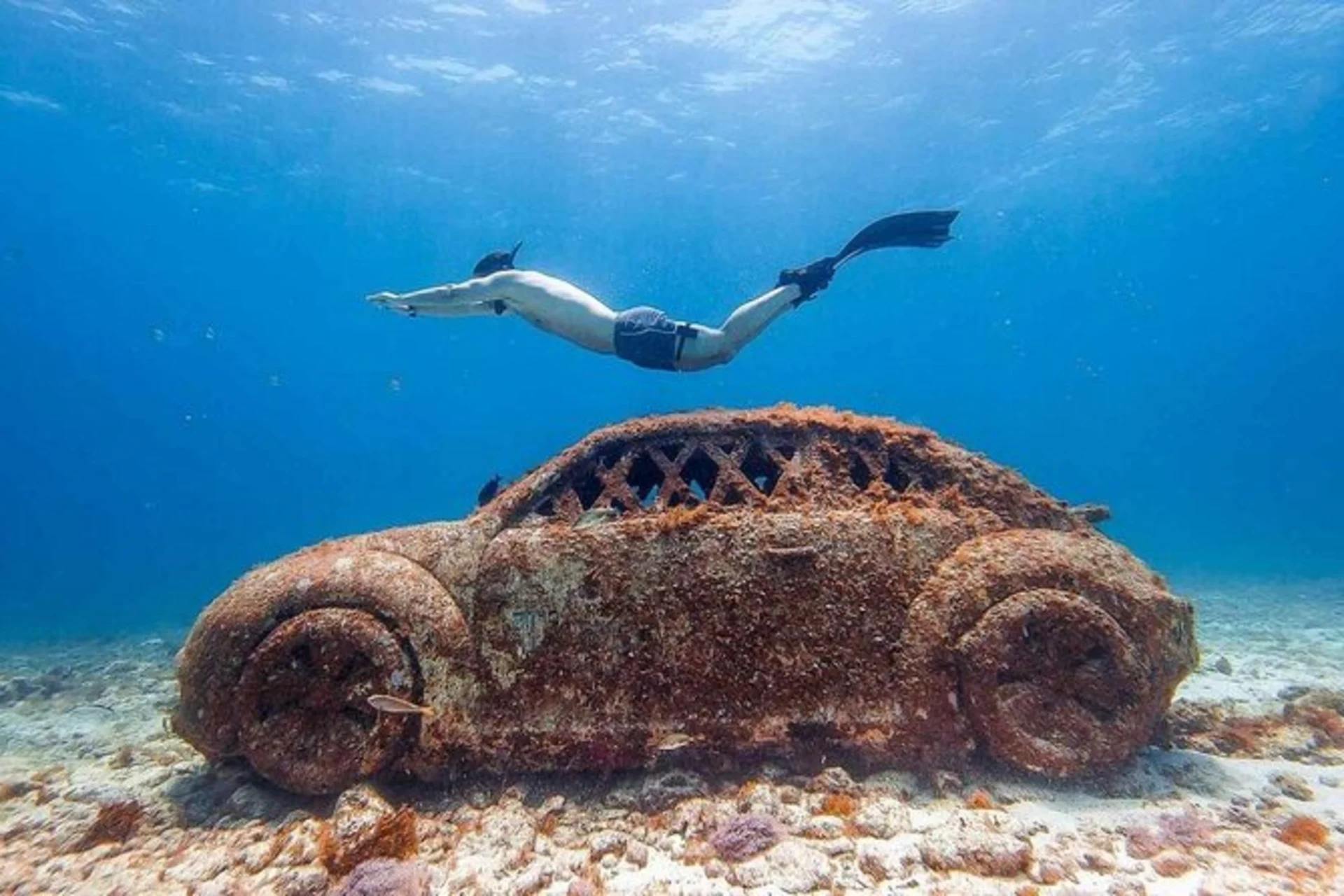 The Best Underwater Experiences You Can Have