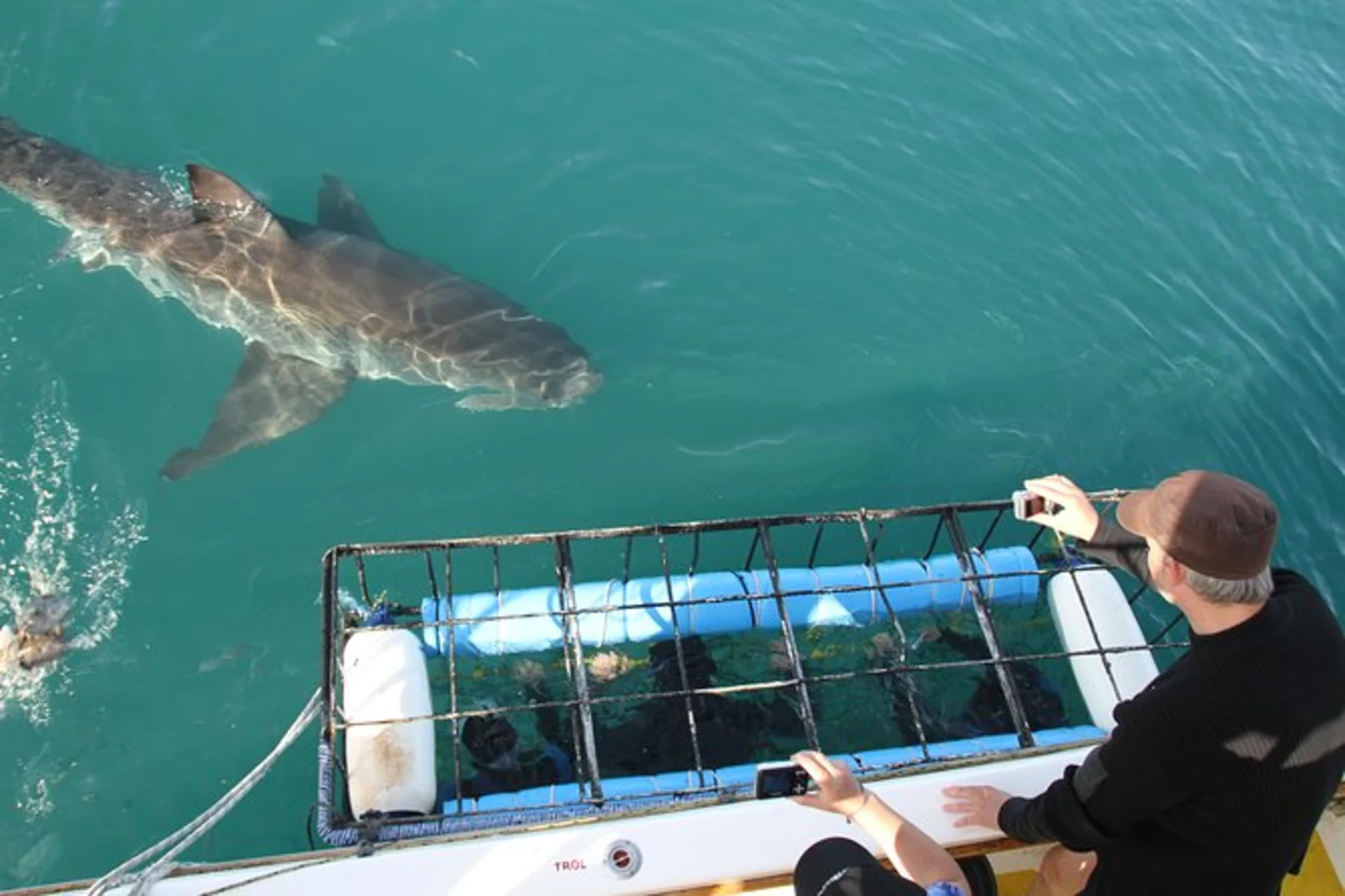 The Best Underwater Experiences You Can Have