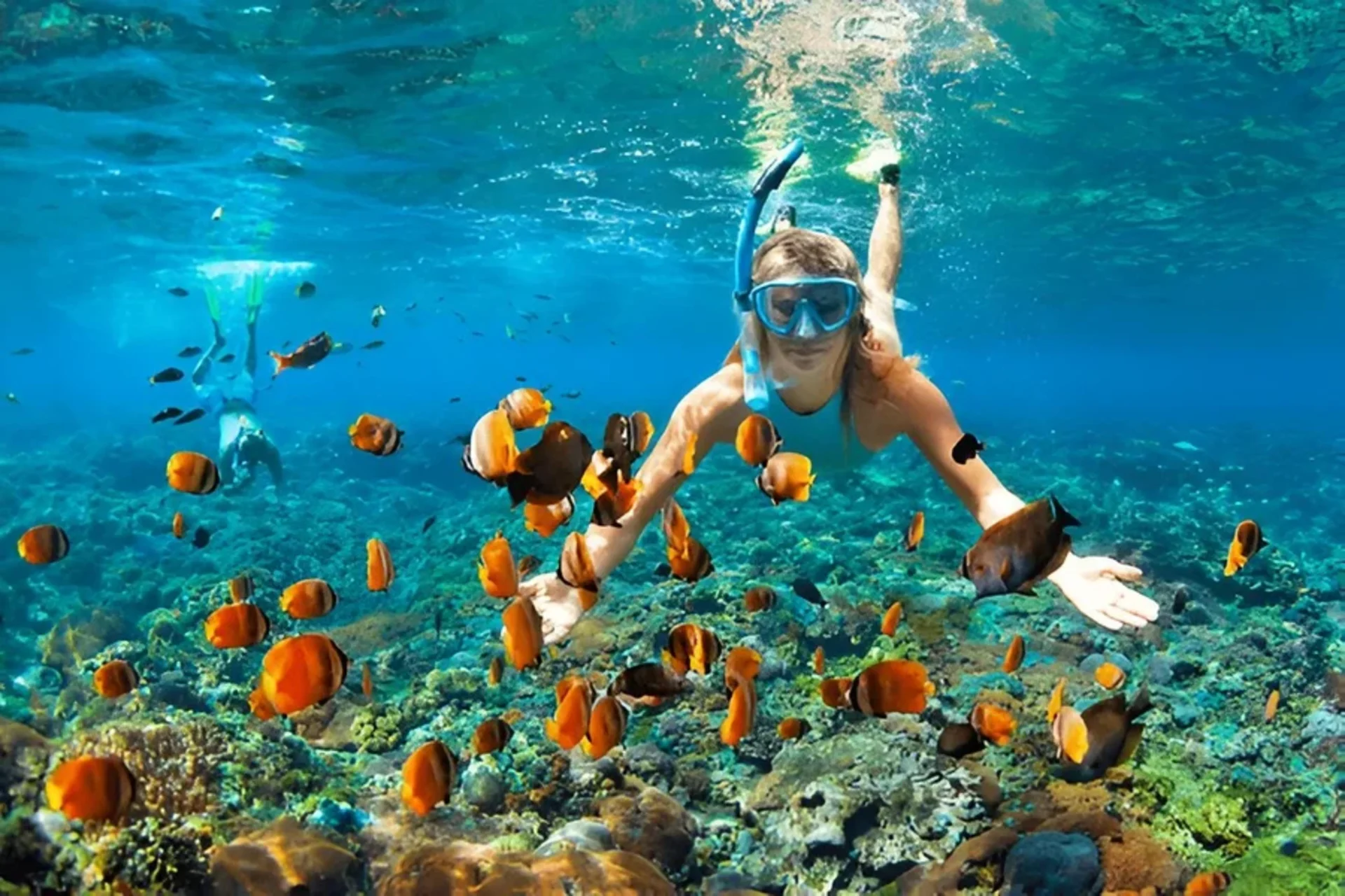 The Best Underwater Experiences You Can Have