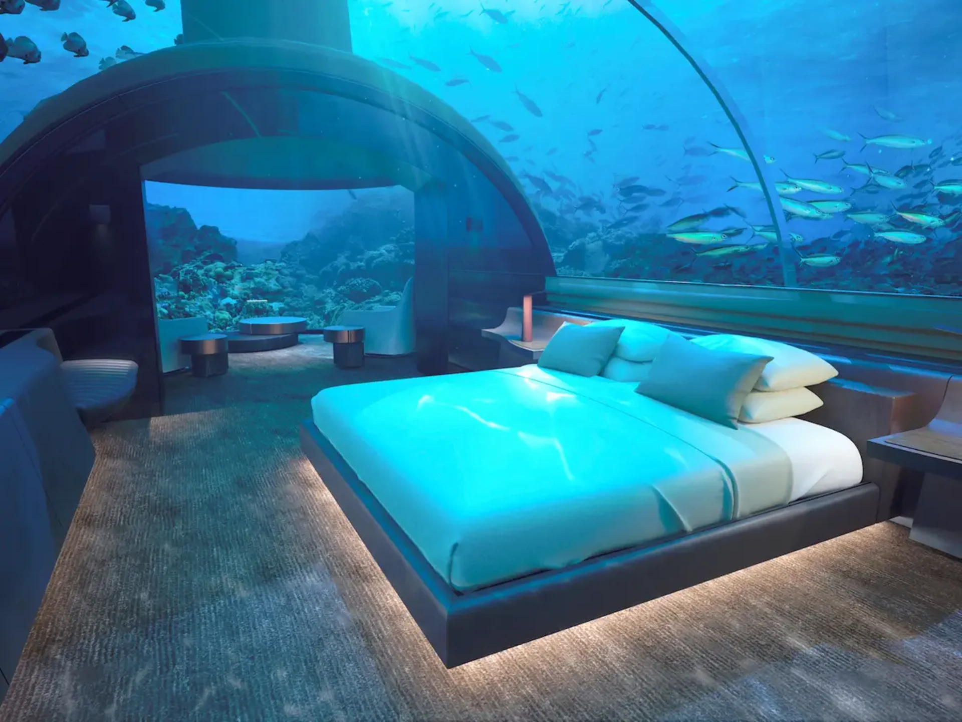 The Best Underwater Experiences You Can Have