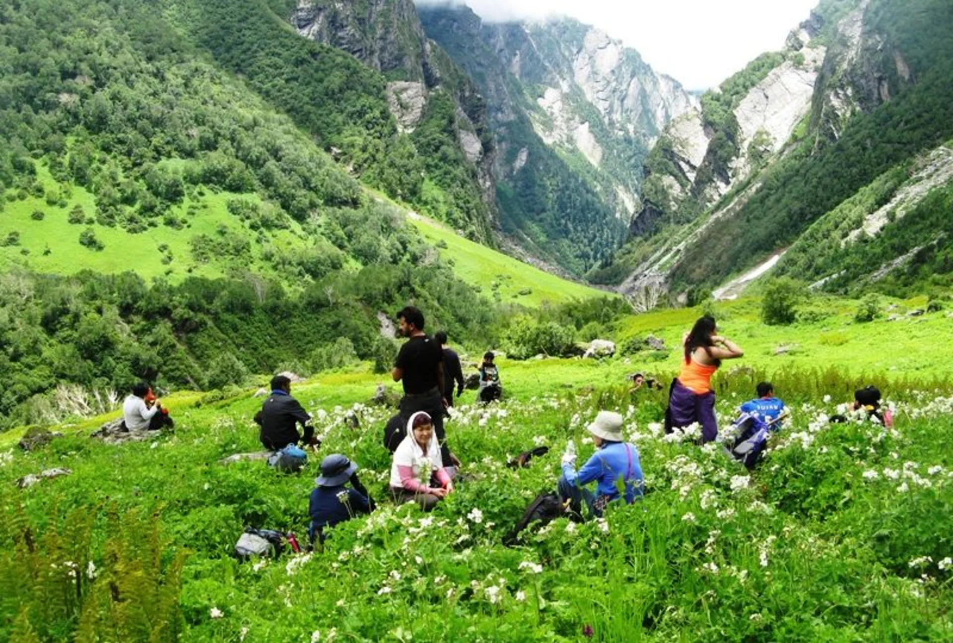 Valley of Flowers in Monsoon: A Blooming Paradise or Travel Risk?