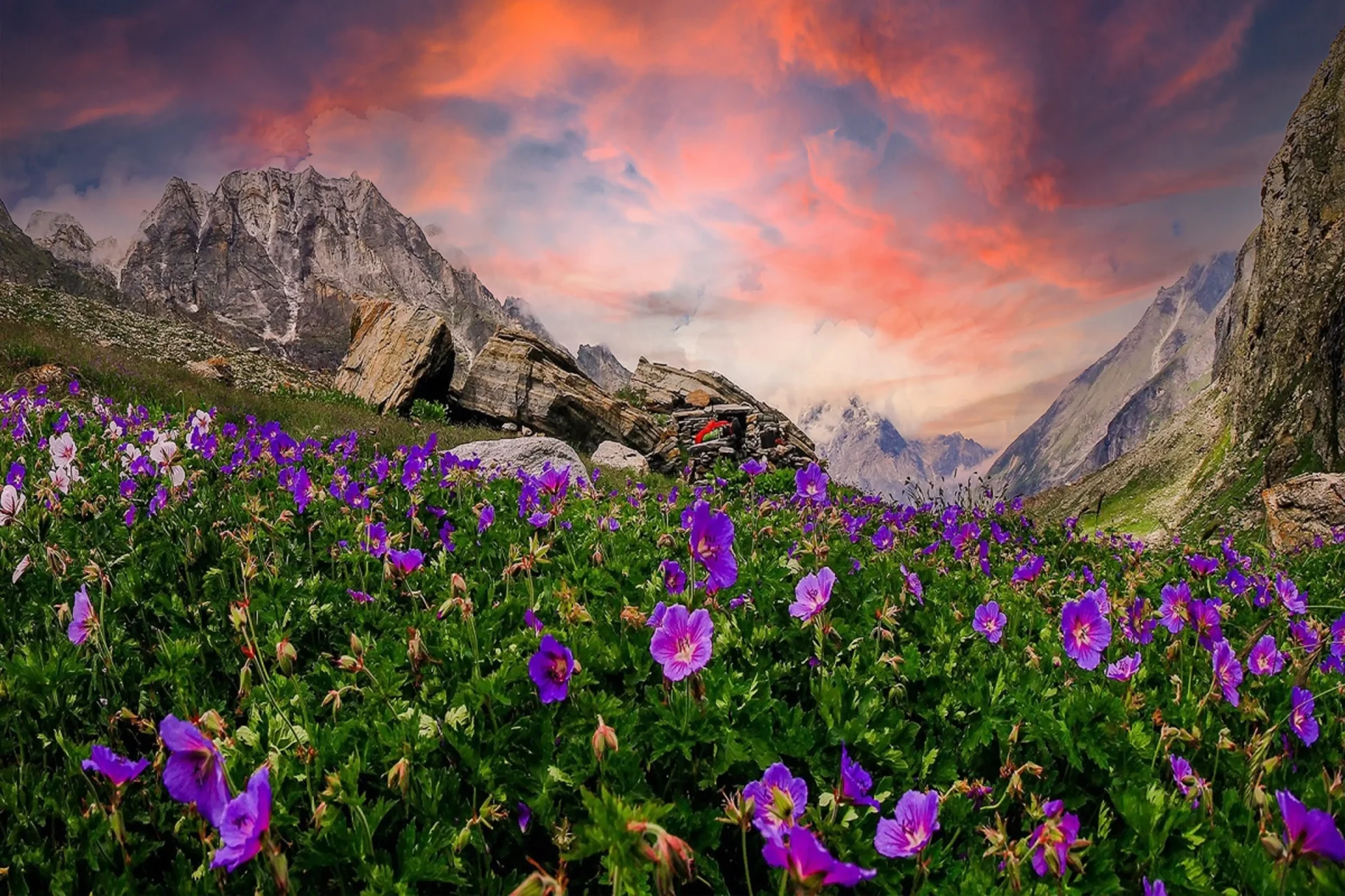 Valley of Flowers in Monsoon: A Blooming Paradise or Travel Risk?