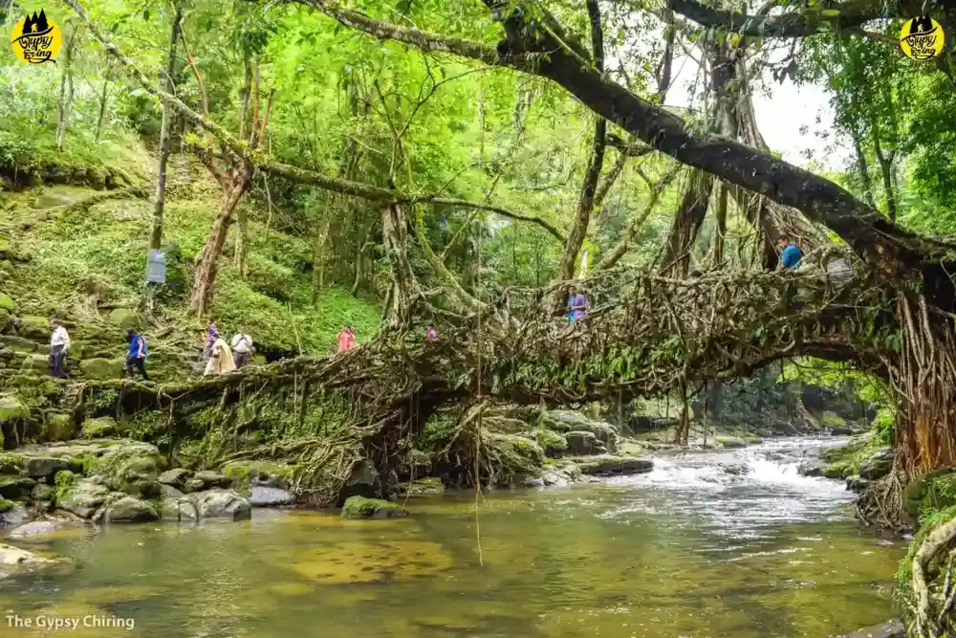 Top Monsoon Getaways in India