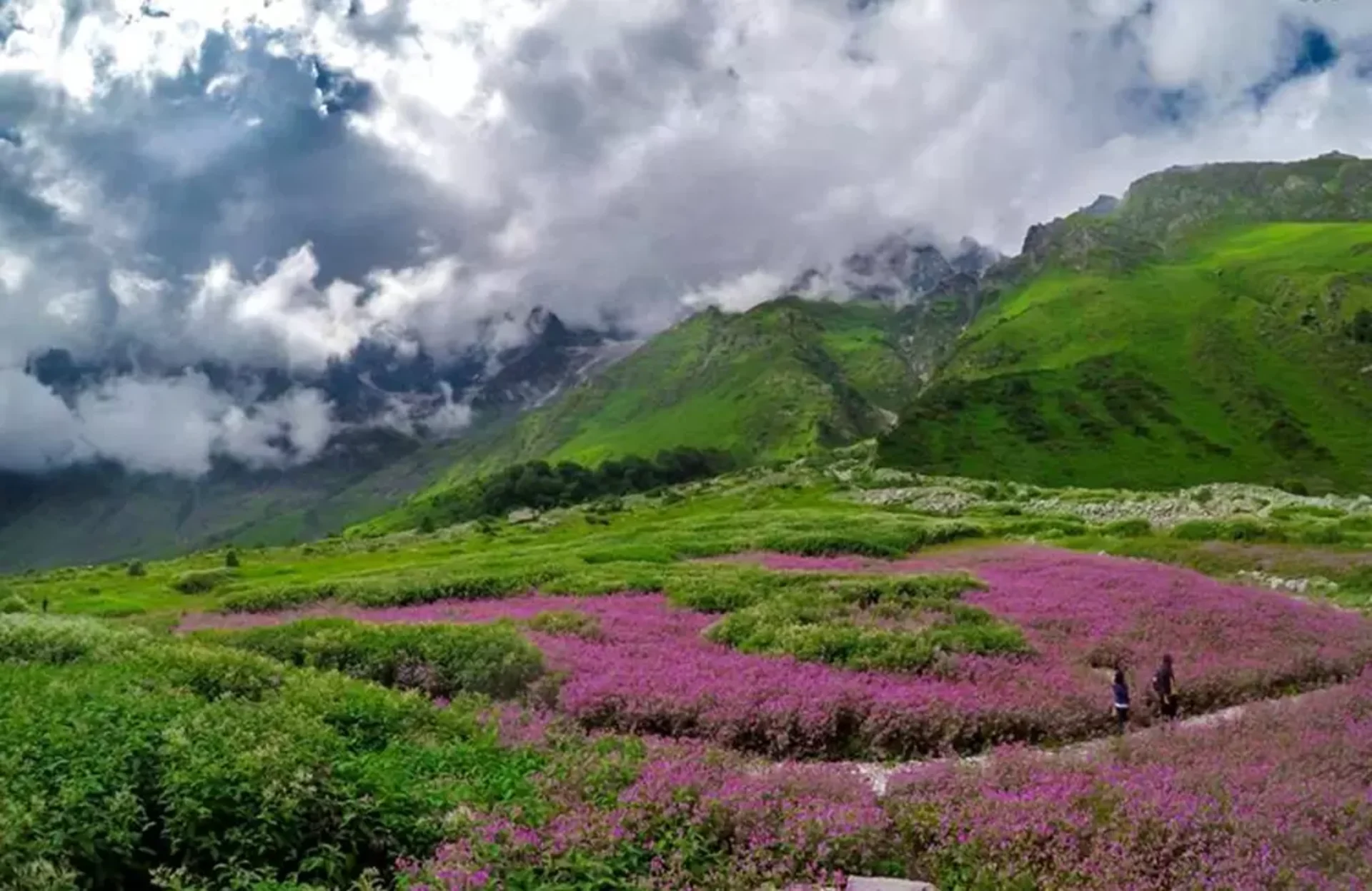Top Monsoon Getaways in India