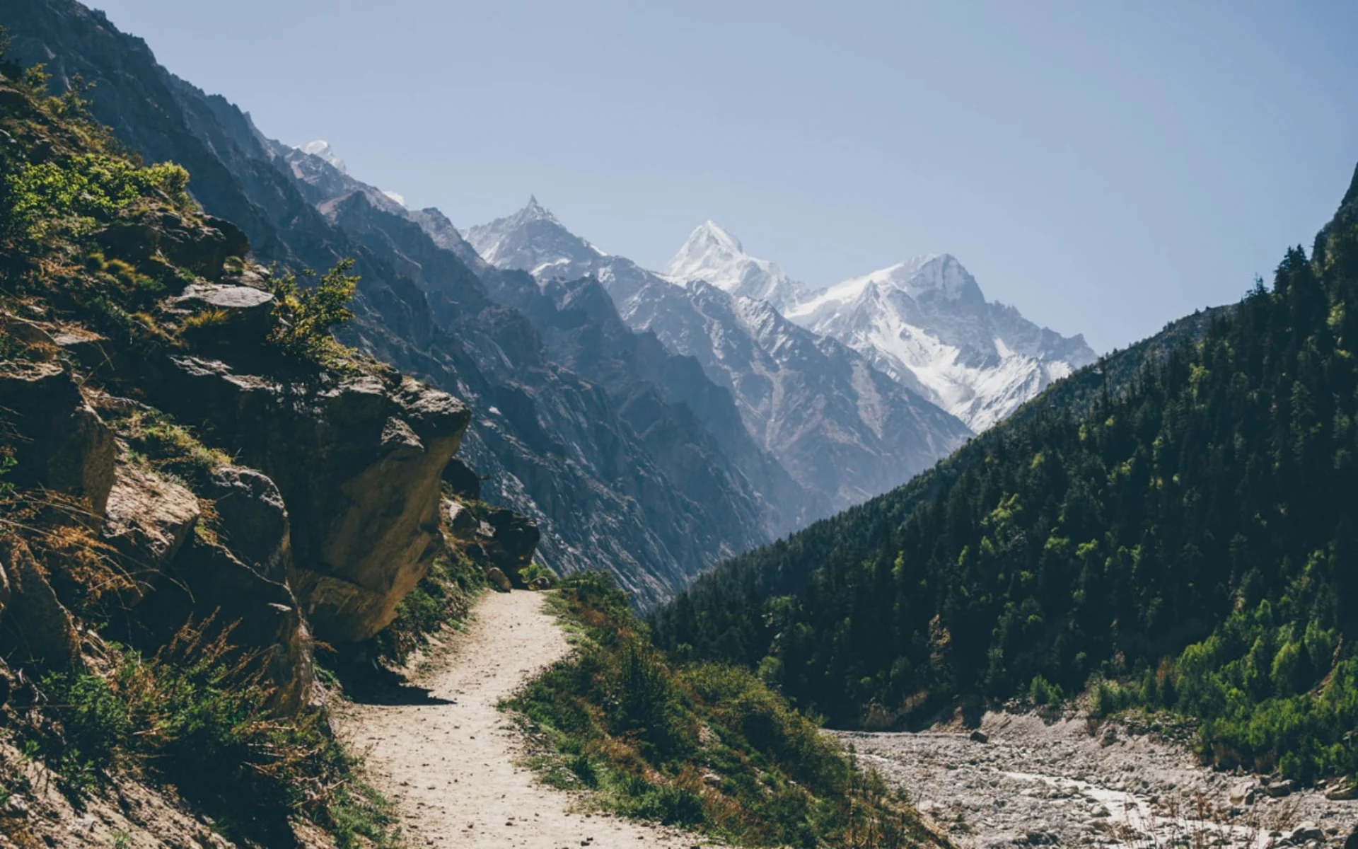 Sacred Journeys: Char Dham Yatra Guide