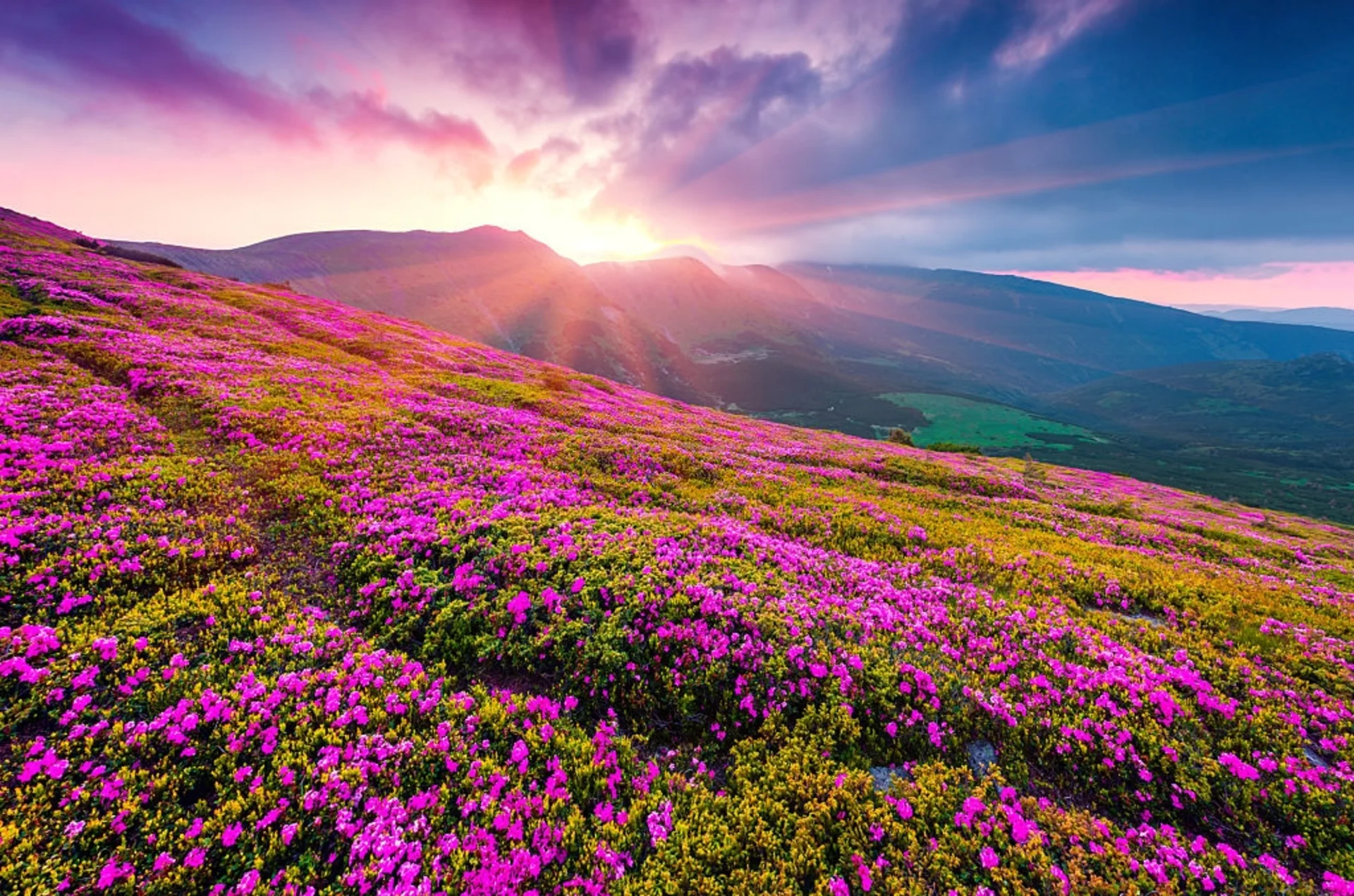  Top High-Altitude Destinations for Monsoon Lovers