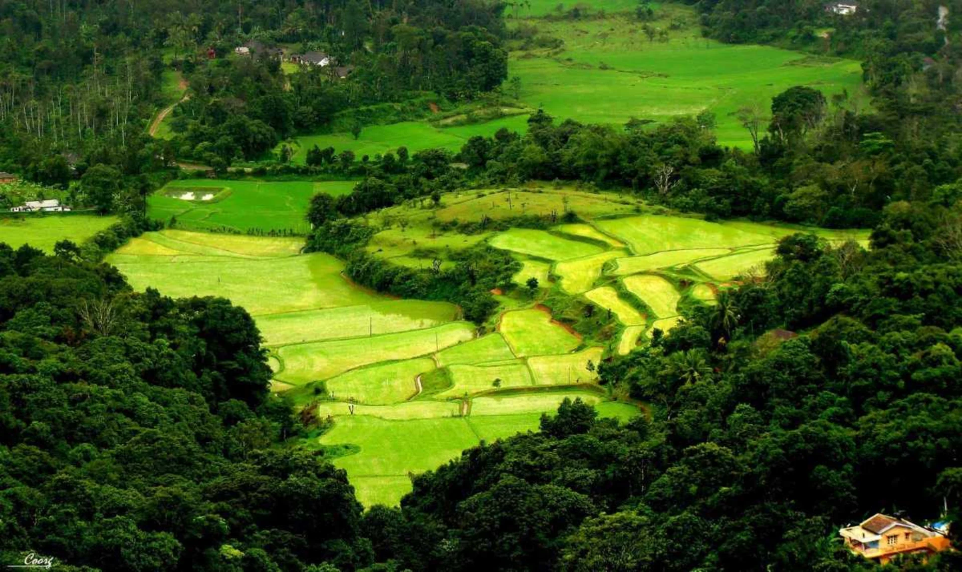  Top High-Altitude Destinations for Monsoon Lovers