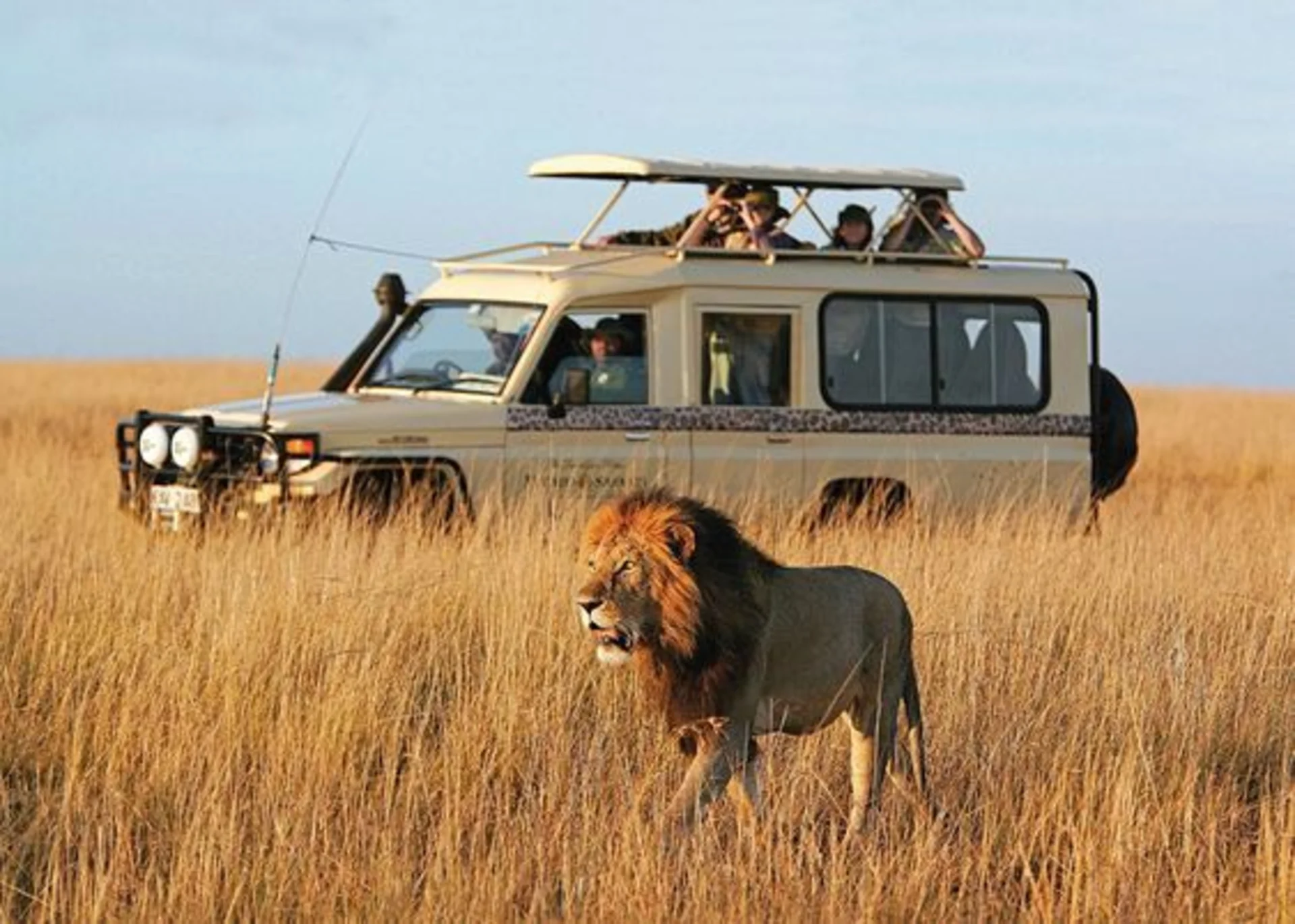 10 Best Wildlife Sanctuaries & National Parks for an Incredible Safari Experience