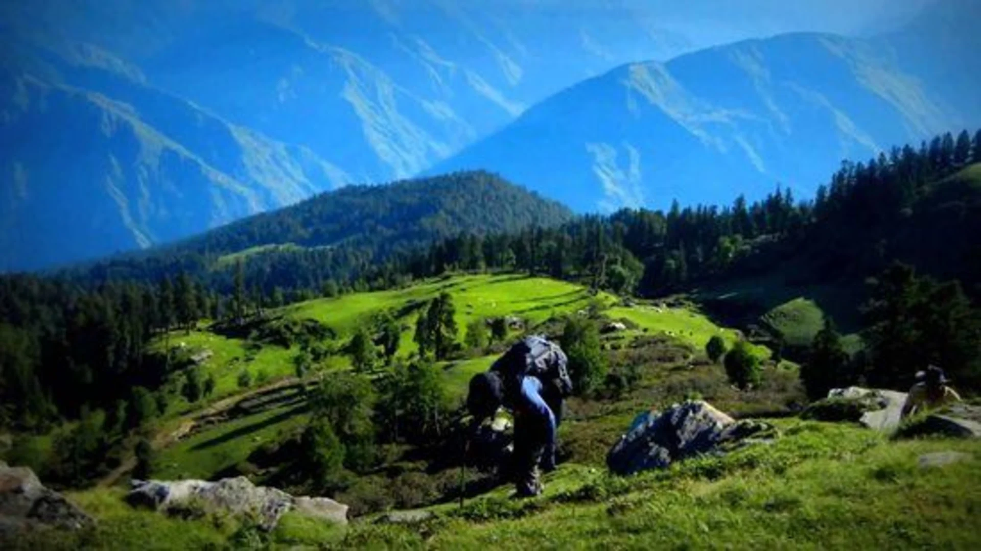 Best Summer Treks in the Indian Himalayas