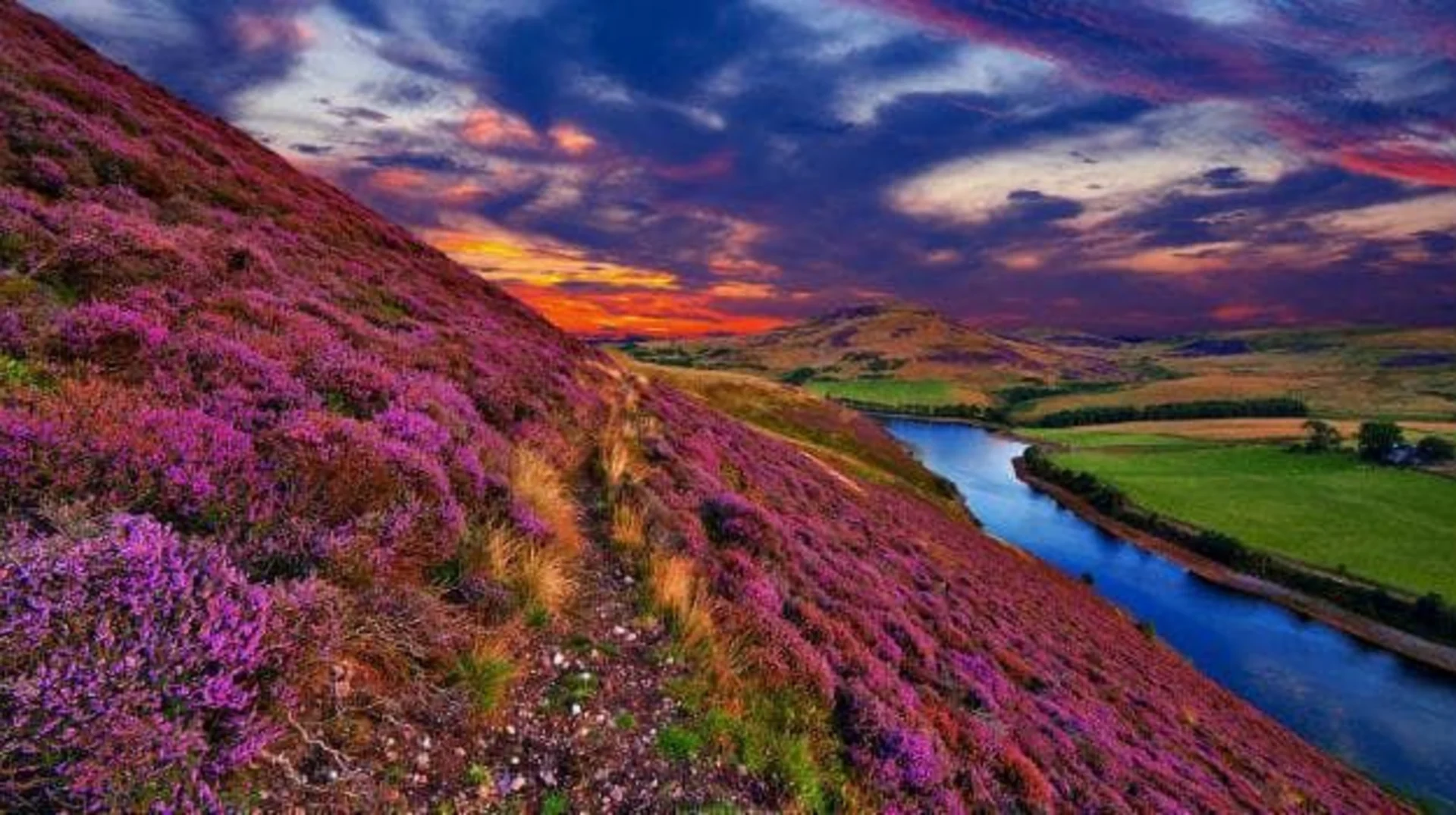 Valley of Flowers in Monsoon: A Blooming Paradise or Travel Risk?