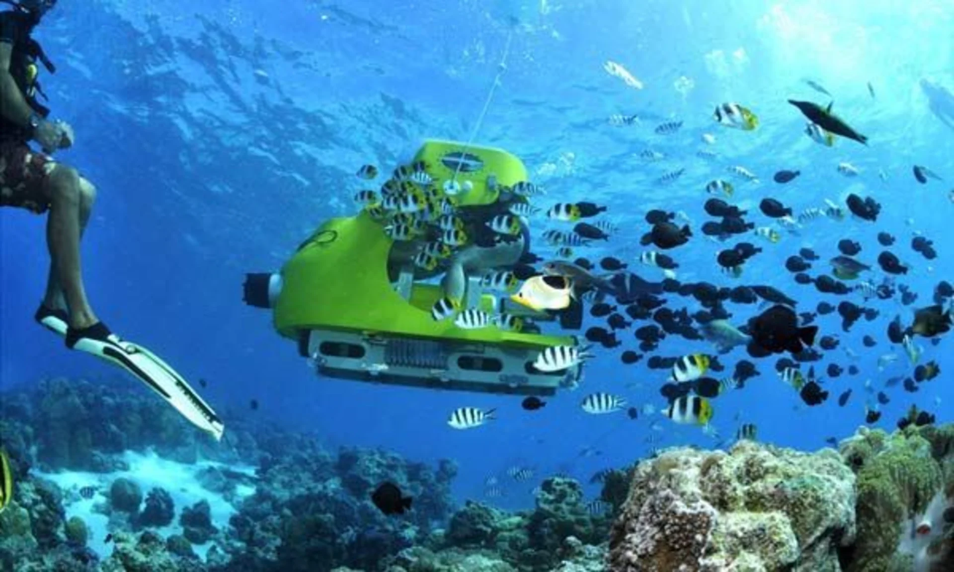 The Best Underwater Experiences You Can Have