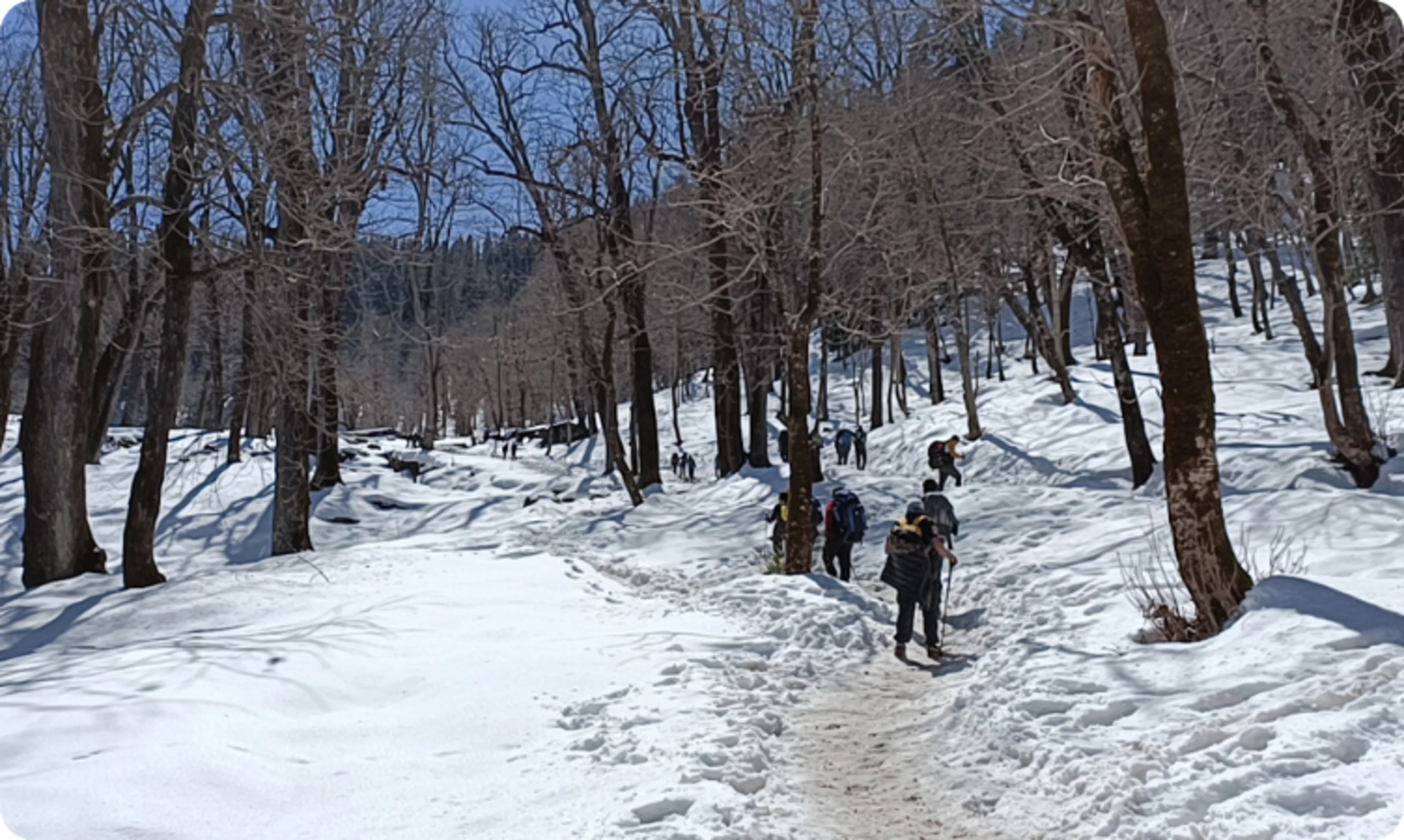 Kedarkantha Trek