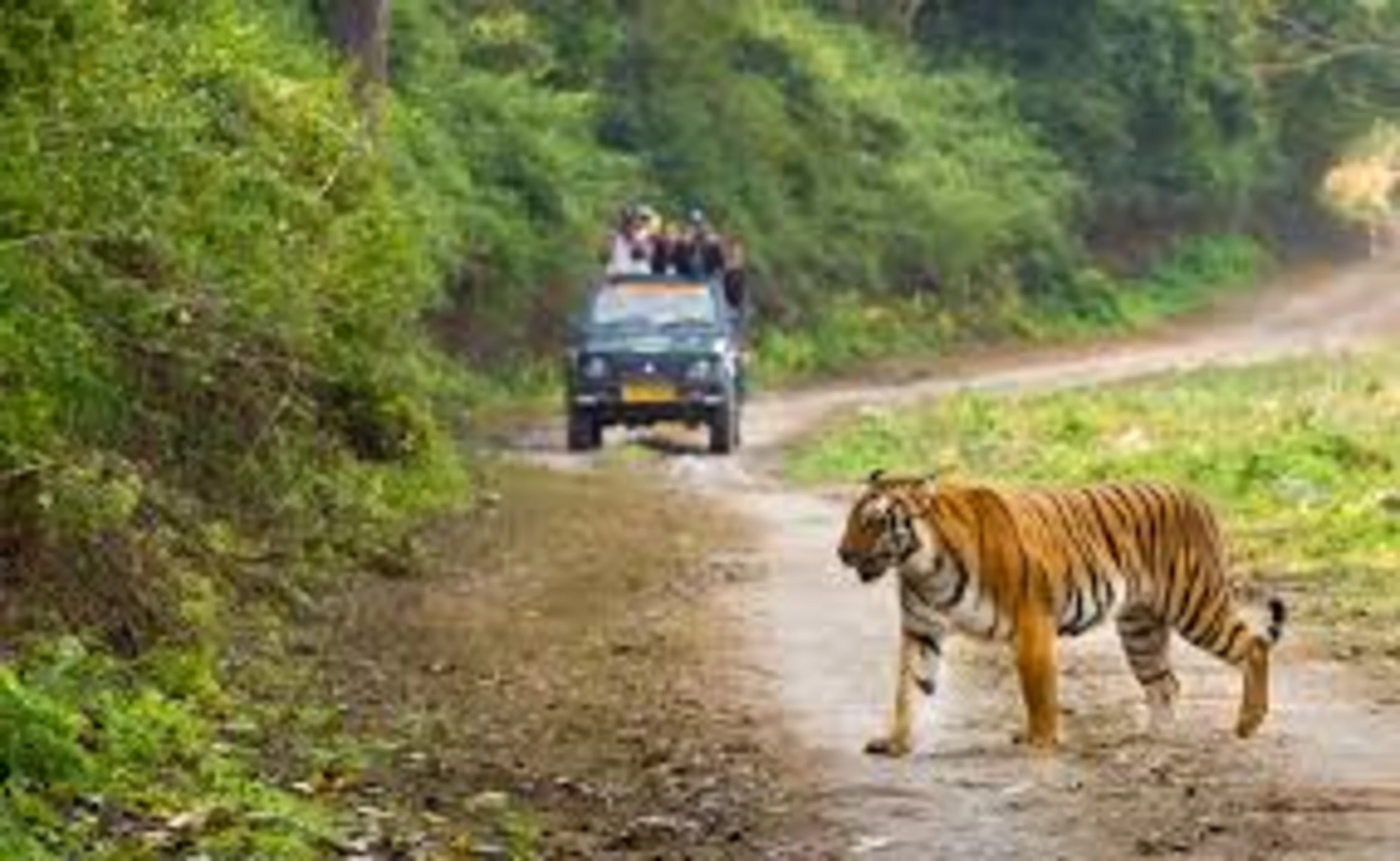 Uttarakhand Backpacking Road Trip - Kumaon Edition