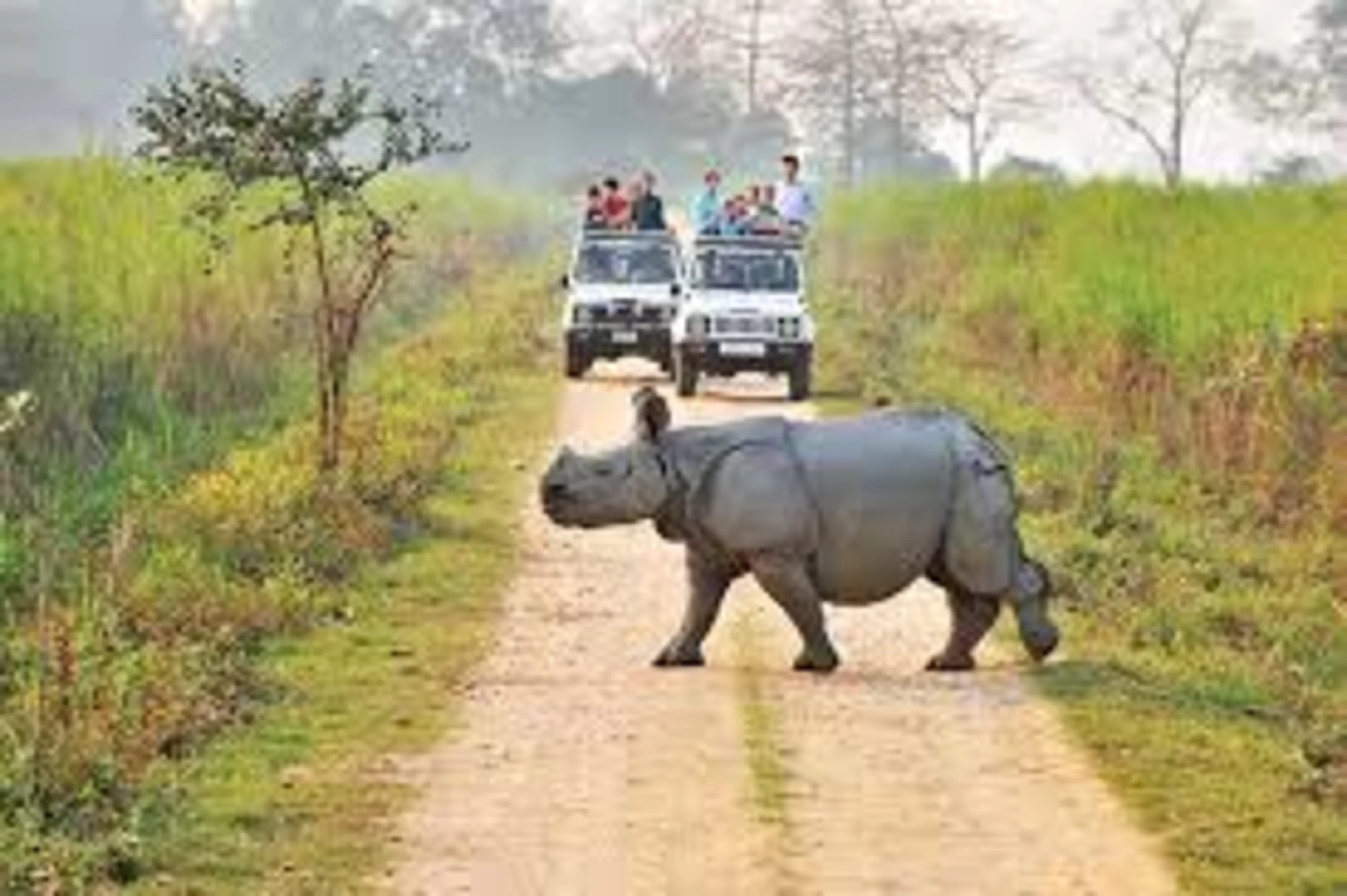 Meghalaya With Kaziranga Road Trip