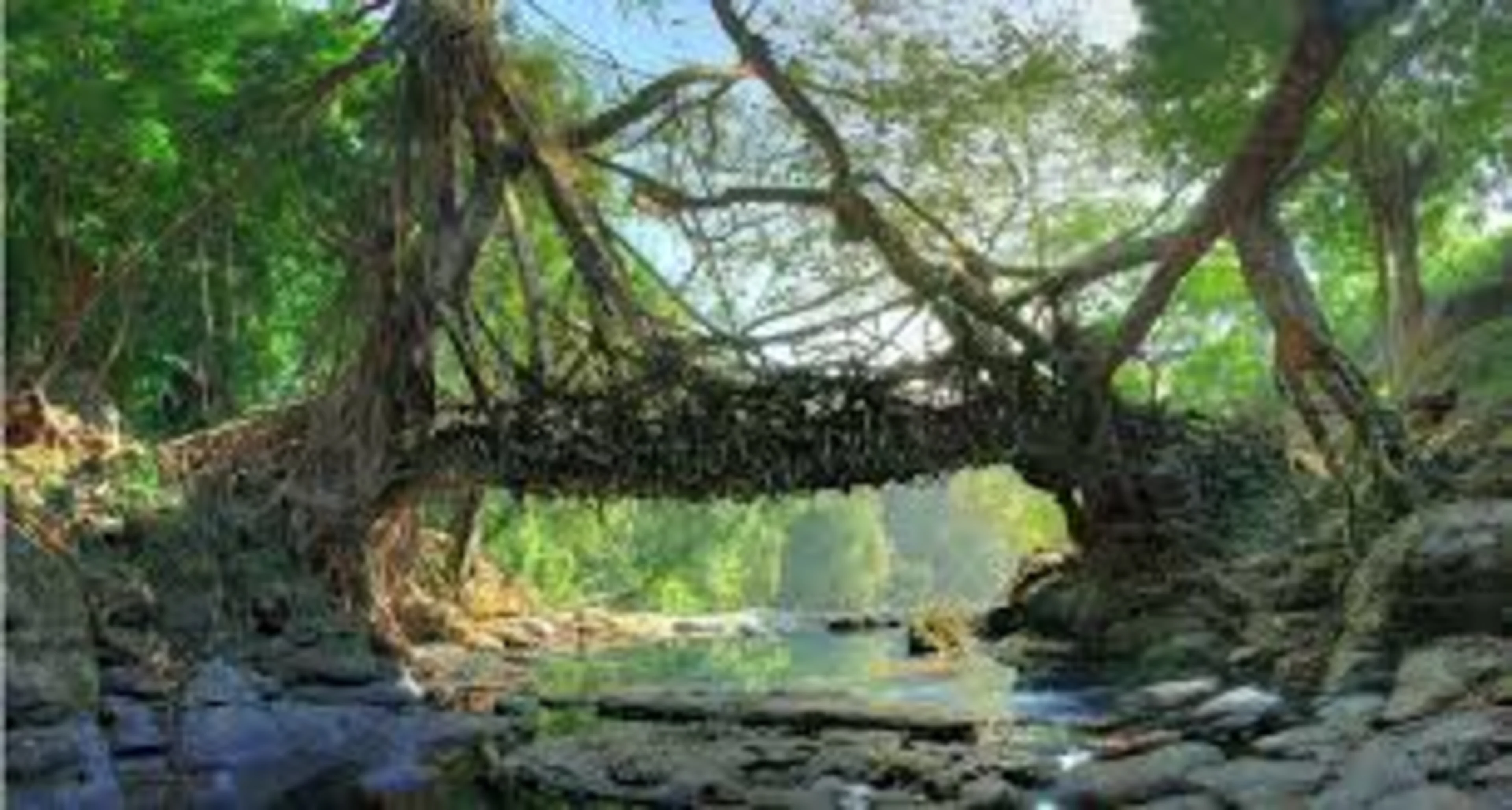Meghalaya With Kaziranga Road Trip