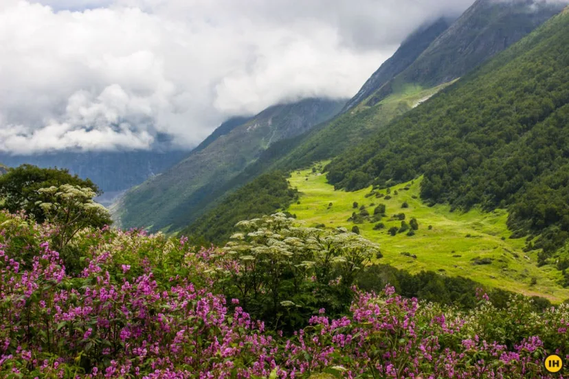  Top High-Altitude Destinations for Monsoon Lovers