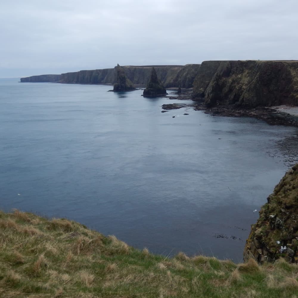 View of a coastline with rock stacks and cliffs