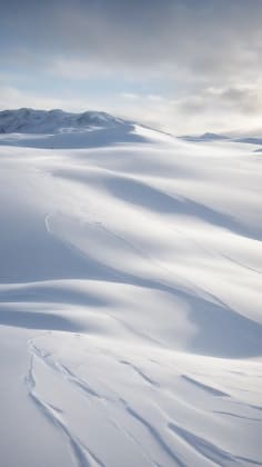 Standard snow measurement techniques: A comparison of various methods, including snow boards, ground stakes, ruler measurements, and automated sensors, highlighting their strengths and weaknesses.