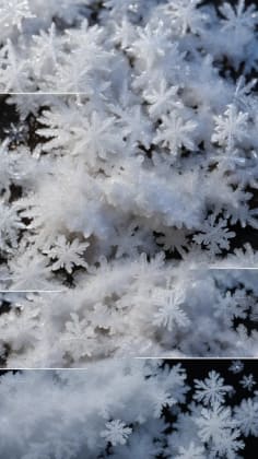 Wet and dry snow characteristic comparison