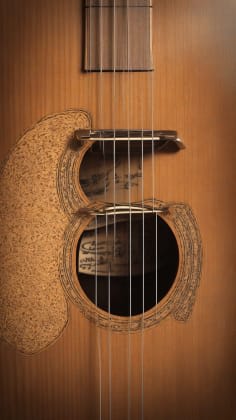 Guitar maintenance guide