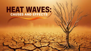 Heat Waves: Causes and Effects