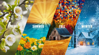 Seasonal Wallpaper Collections: Spring, Summer, Fall, and Winter