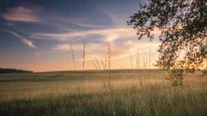 Weather in Broader Context: Understanding Weather's Wide-Ranging Effects