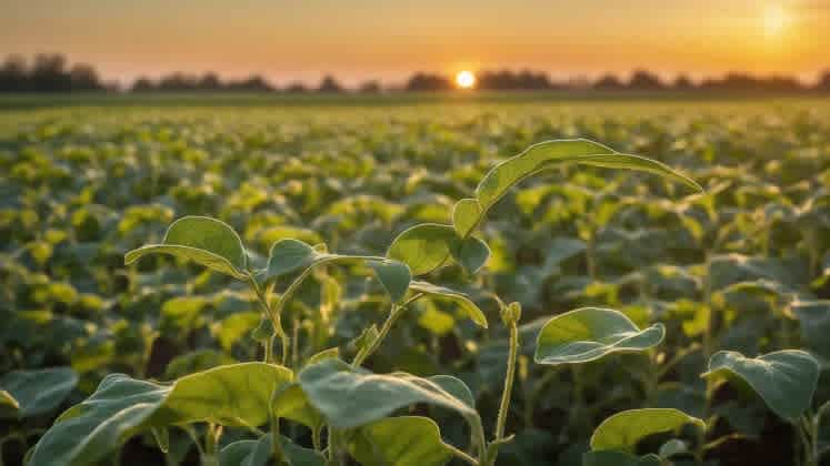 Agricultural application methods