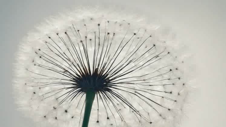 New research direction visualization