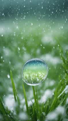 Snow Above Freezing Illustration